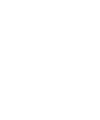 Emberfest_Raccoon